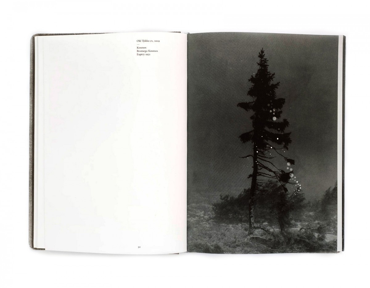 Old Tjikko - Special Edition by Nicolai Howalt - fabrikbooks.com